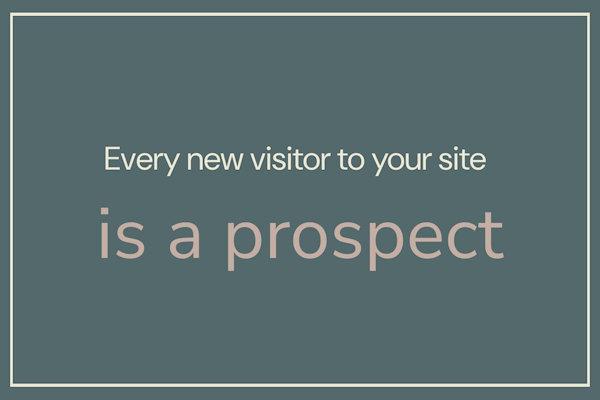 Every new visitor to your site is a prospect